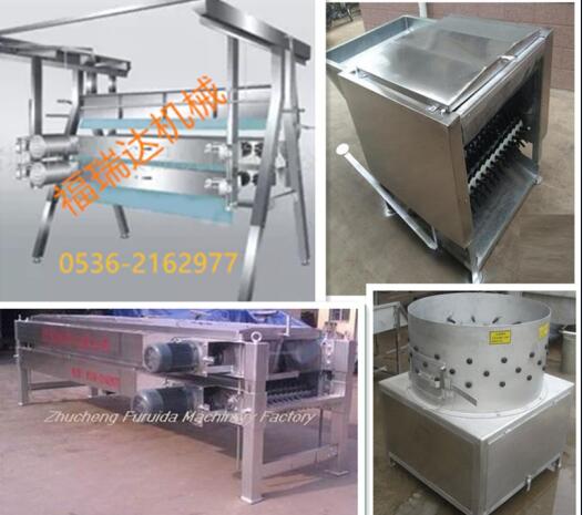 ���N����Óë�C(j��)